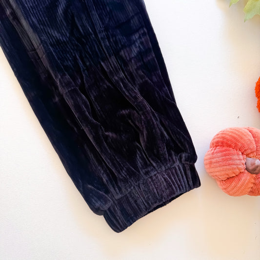 Moonlit Velvet Ribbed Joggers