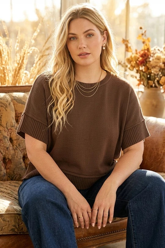 Harvest Hug brown plus sweater top